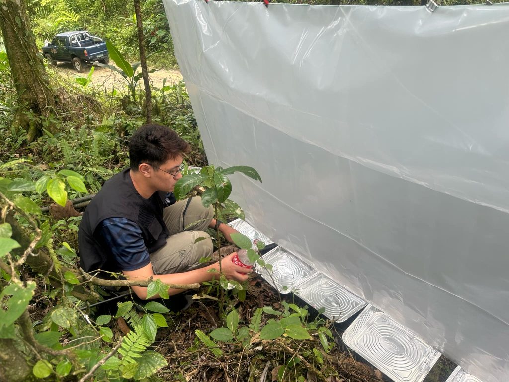 Philippine Beetle Biodiversity Research & Cultural Immersion